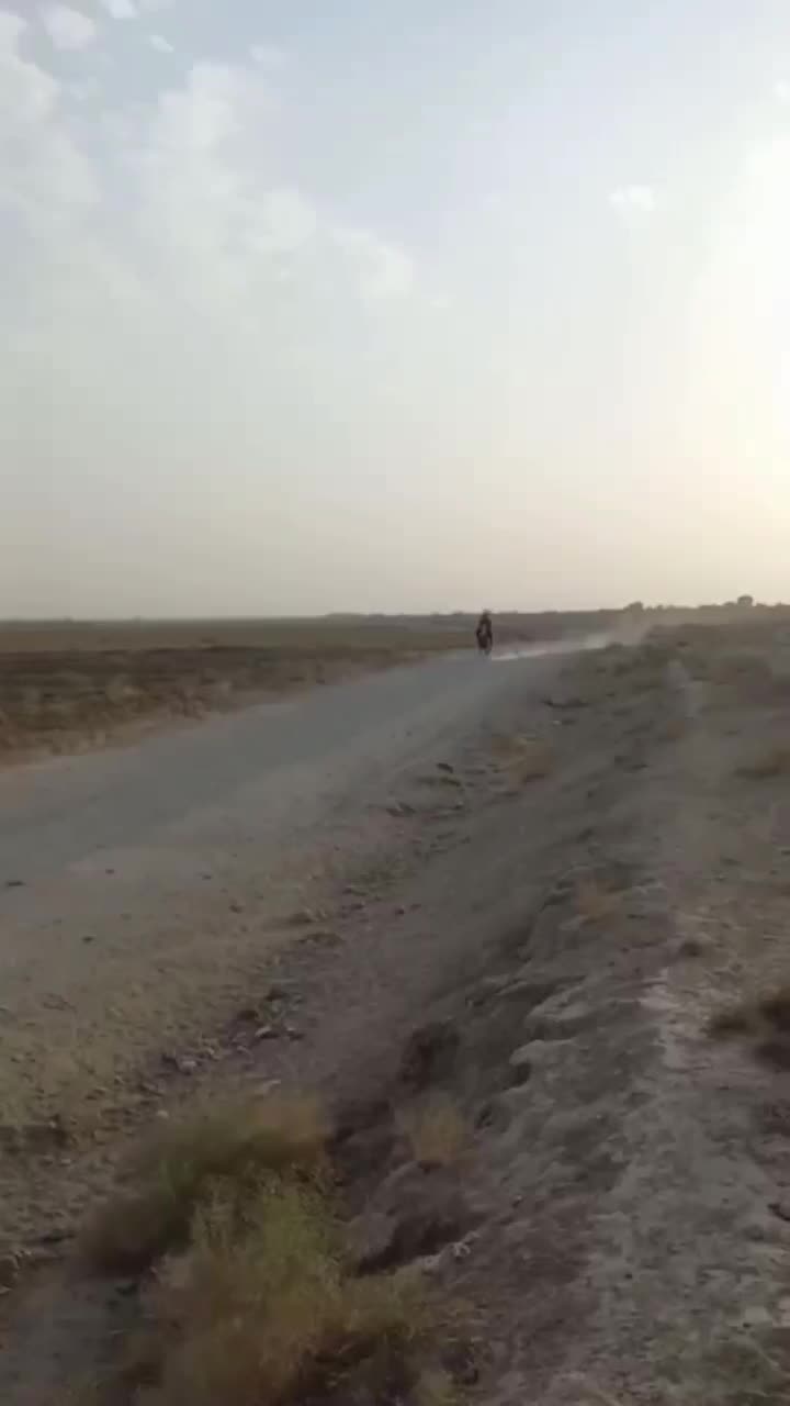 اسب ترکمن|اسب و تجهیزات اسبسواری|بردسکن, |دیوار