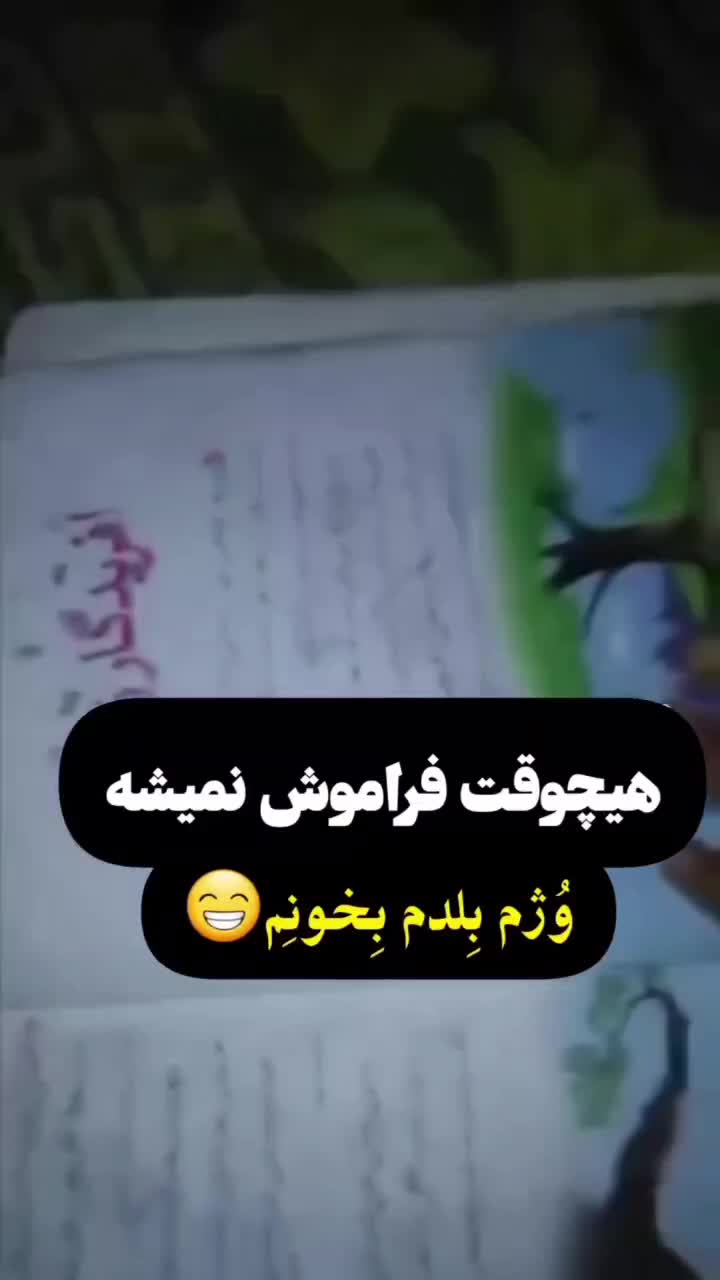 کار نما|خدمات پیشه و مهارت|نورآباد, |دیوار