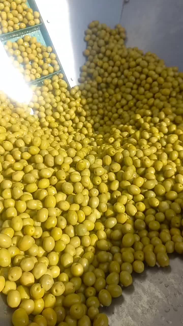 پخش زیتون|خوردنی و آشامیدنی|اسلامشهر, زرافشان|دیوار