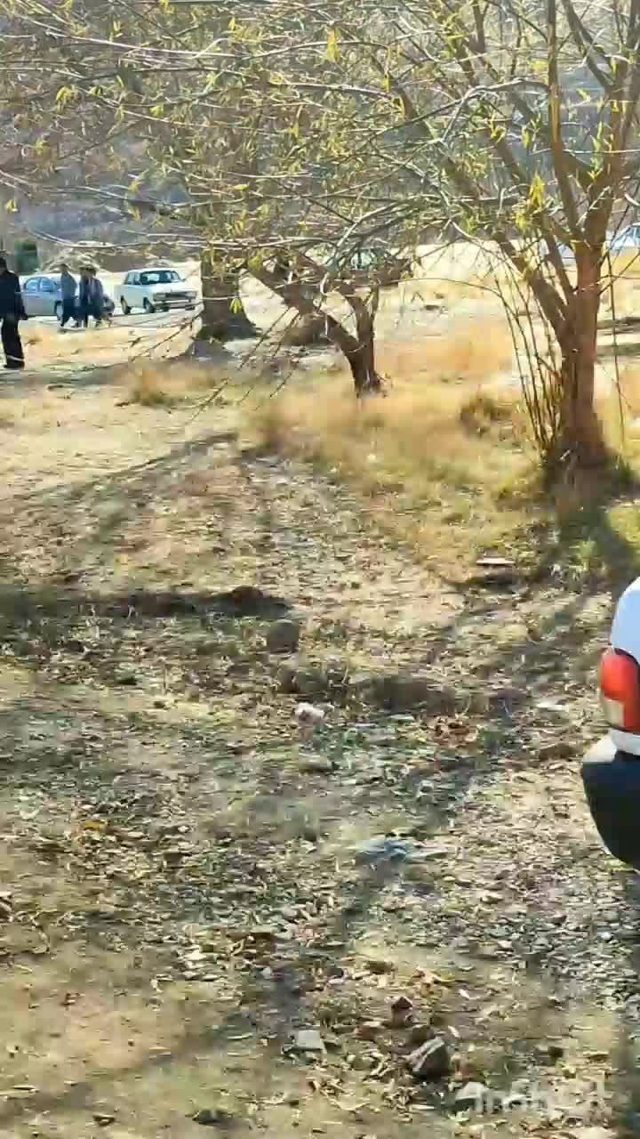 مداح وقاری مراسمات ختم وخاکسپاری|خدمات پذیرایی، مراسم|کرمانشاه, |دیوار