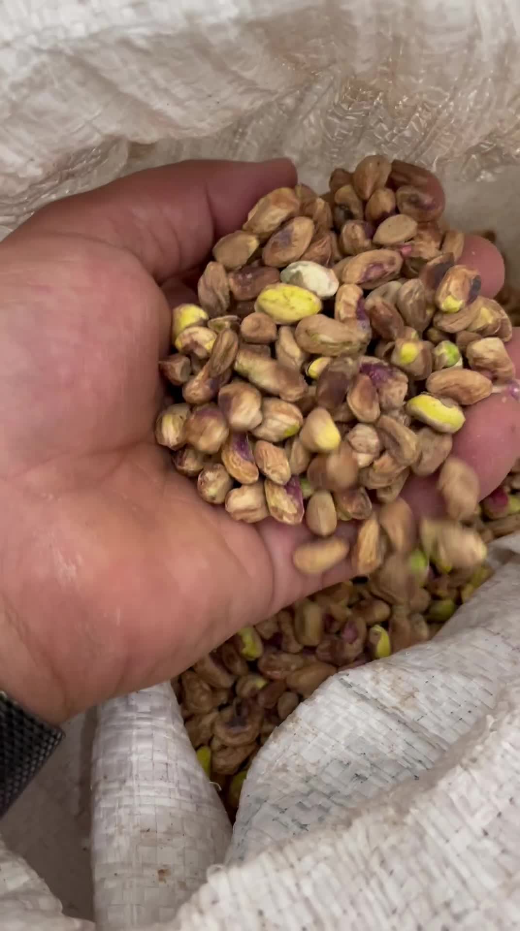 مغز پسته|خوردنی و آشامیدنی|تهران, مجیدیه|دیوار