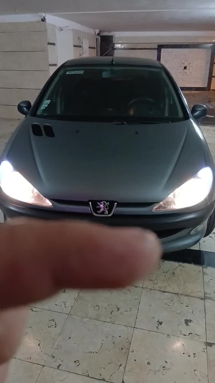 پژو 206 SD TU5|خودرو سواری و وانت|تهران, تولید دارو|دیوار