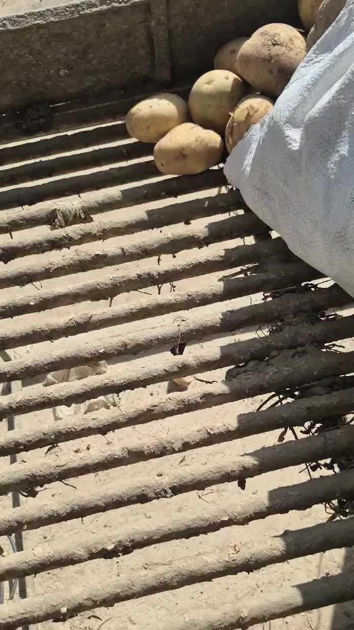 سیب زمینی|خوردنی و آشامیدنی|رشت, حافظ آباد|دیوار