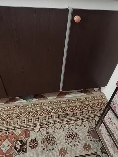 فروش درب های فلزی کابینت نو|مصالح و تجهیزات ساختمان|شیراز, دست خضر|دیوار