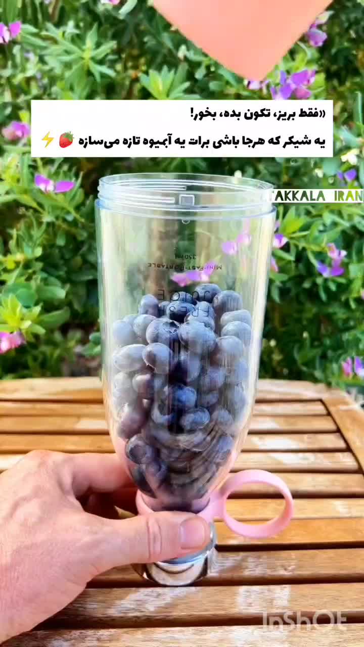 شیکر شارژی Fresh Juicer ظرفیت 500Ml|آبمیوهگیر و آبمرکباتگیر|تهران, جوادیه|دیوار