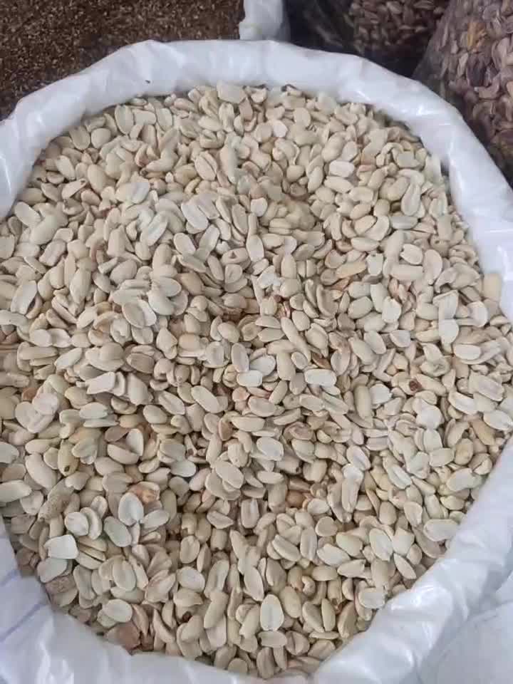 پخش عمده مغزهای کره گیری تفت روز بادام زمینی|خوردنی و آشامیدنی|تهران, شوش|دیوار