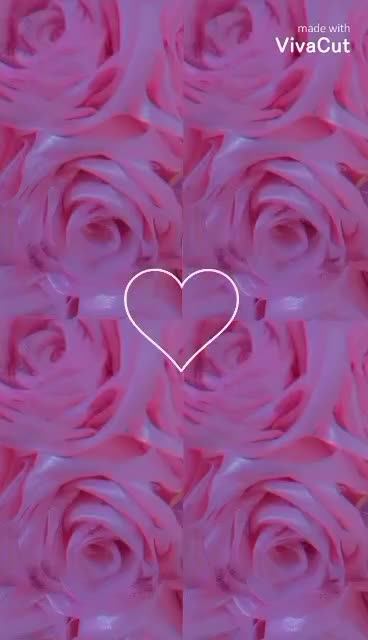 سفارش گل روبانی .باکس گل پذیرفته میشود|گل مصنوعی|همدان, |دیوار