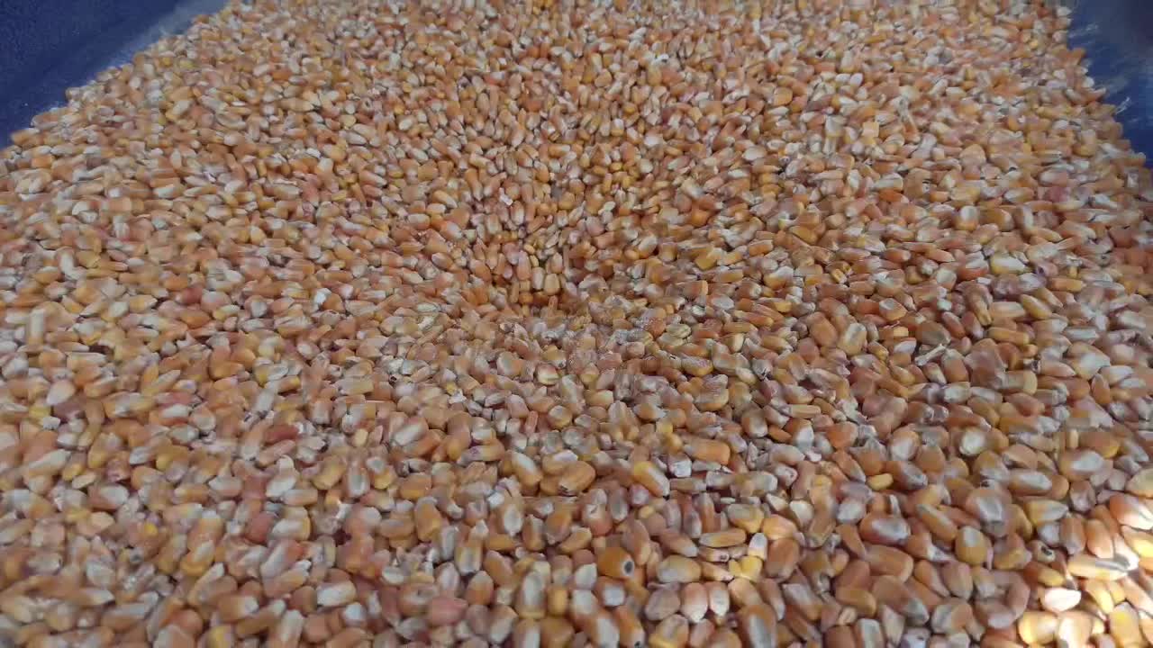 اسیاب خوراک دام|ماشین‌آلات صنعتی|کرمان, |دیوار