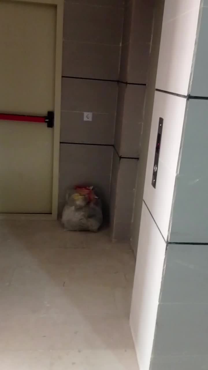 اجاره اپارتمان|اجارهٔ آپارتمان|آبیک, |دیوار