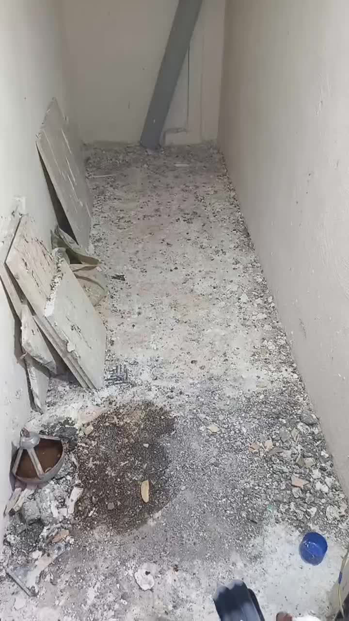 ۱۰عدد کفتر بوم، جوجه بوم پرشی|پرنده|مشهد, چهارچشمه|دیوار