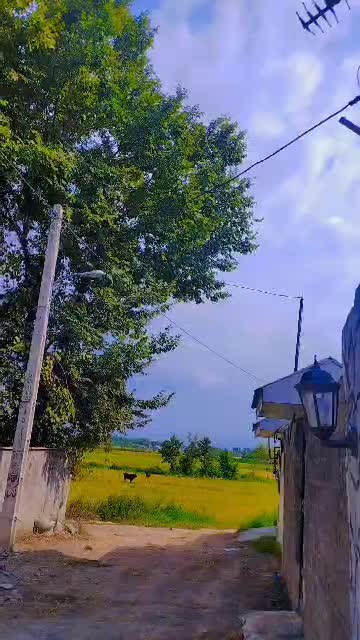 ویلا تک خواب روستایی|اجارهٔ کوتاه‌مدت آپارتمان و سوئیت|فومن, |دیوار