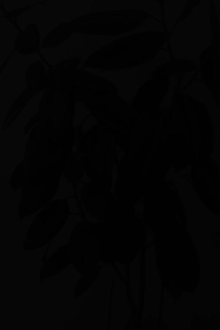 گل های فروشی با قیمت مناسب|گل و گیاه طبیعی|مرند, |دیوار