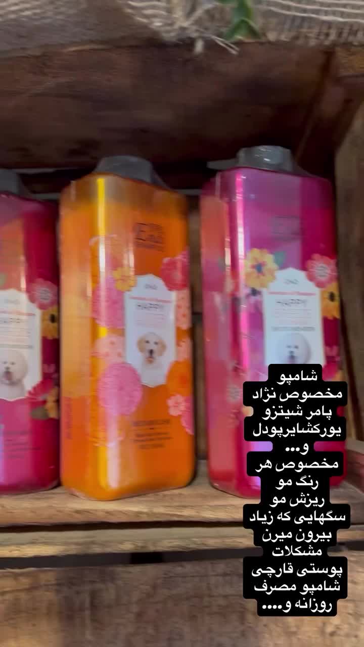 شامپو مخصوص سگ و گربه|لوازم جانبی حیوانات|قم, باغ اشرافی|دیوار