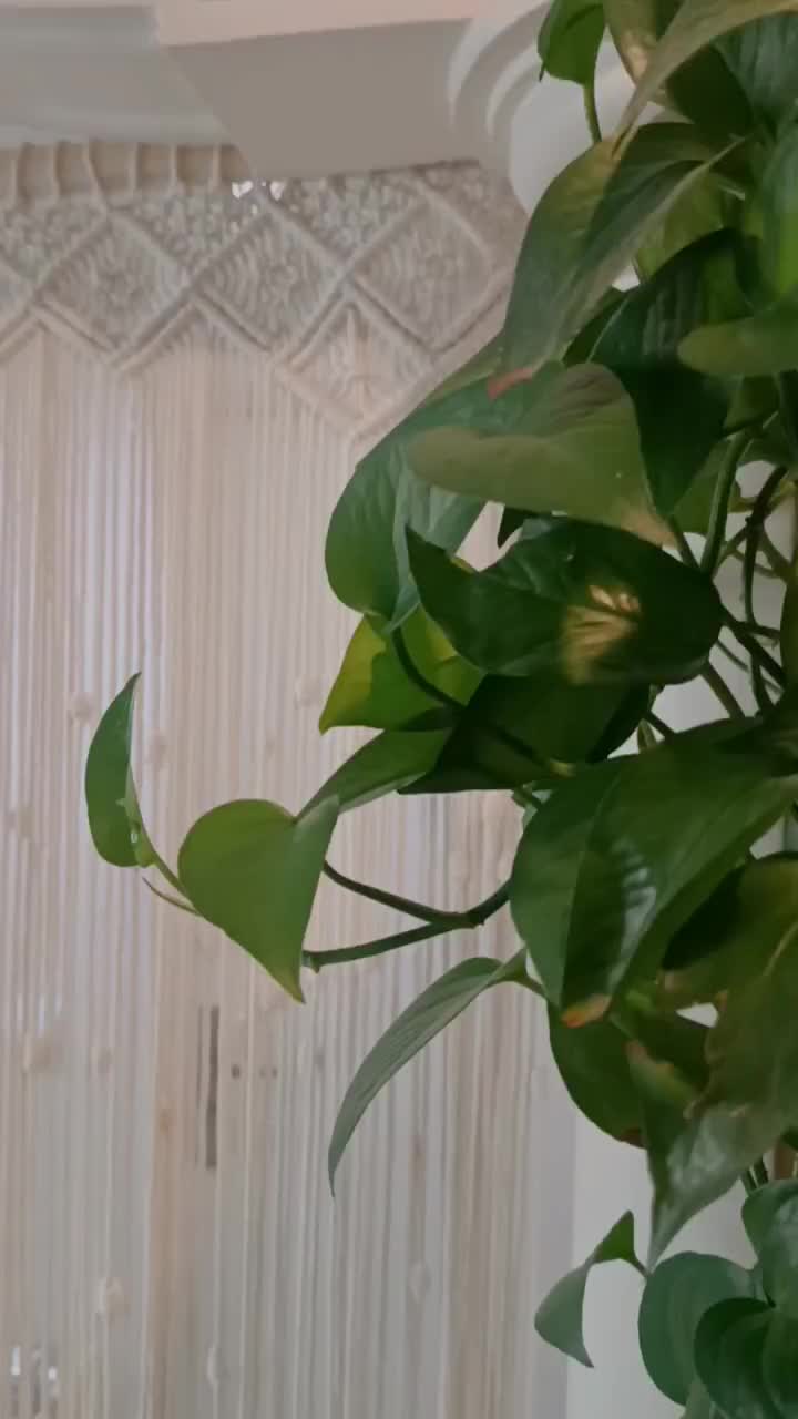 بافت انواع پرده مکرومه بافی|پرده، رانر، رومیزی|تهران, شمسآباد|دیوار