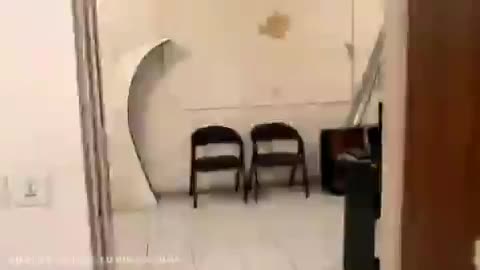 گیمبال  دستی مدل G21|دوربین عکاسی و فیلم‌برداری|تهران, منیریه|دیوار