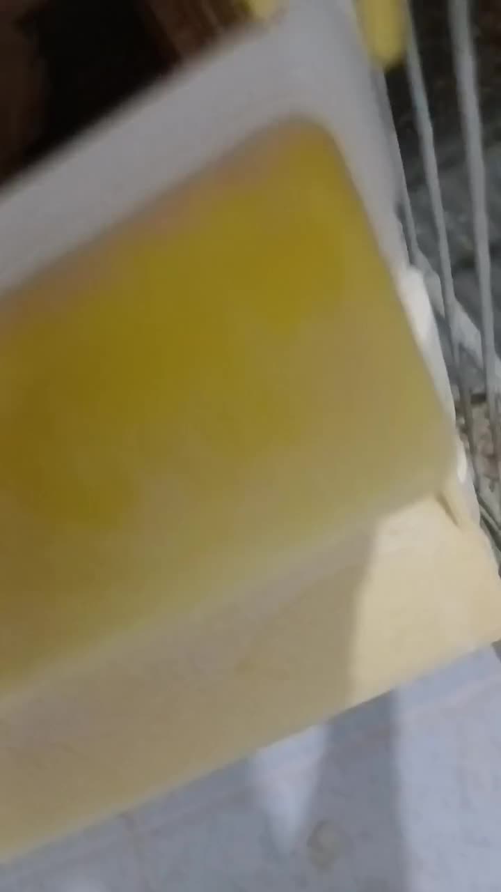 پرنده عروس هلندی|پرنده|دلیجان, |دیوار