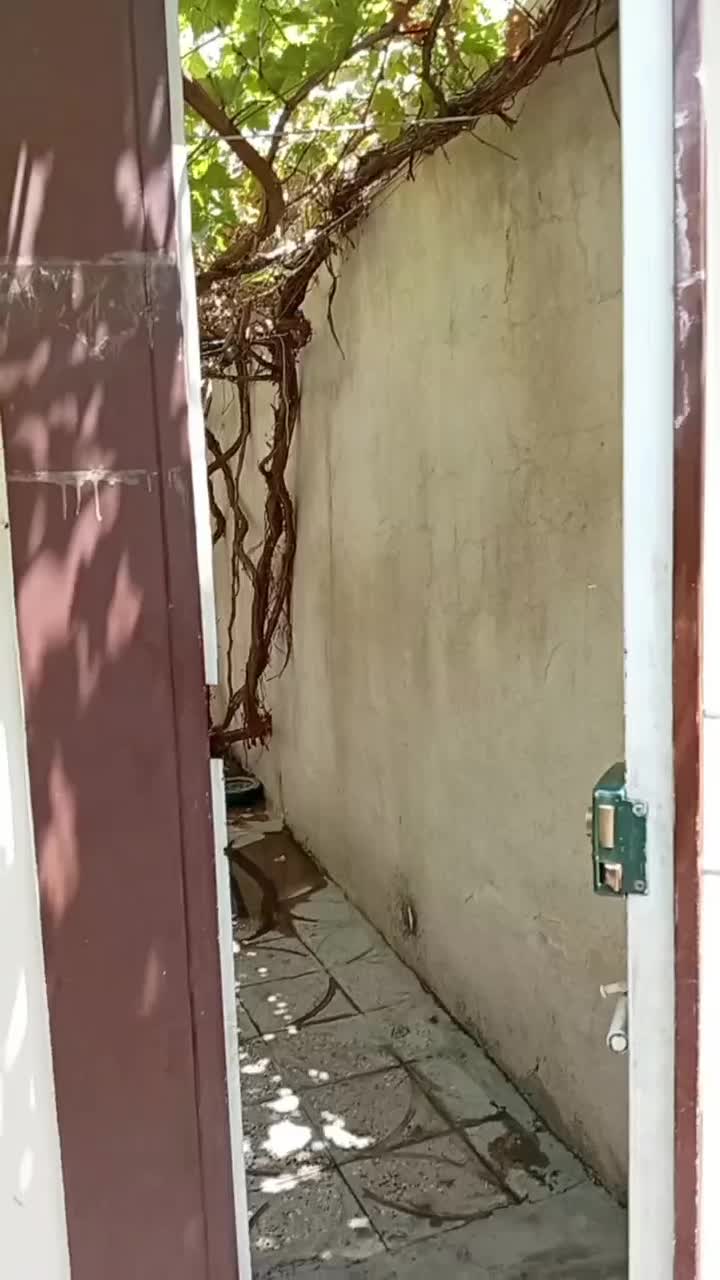 خونه ویلایی ۱۵۰متری|فروش خانه و ویلا|بروجرد, |دیوار