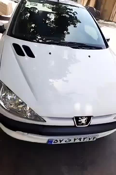 206 v8 مدل 92|خودرو سواری و وانت|مشهد, طلاب|دیوار