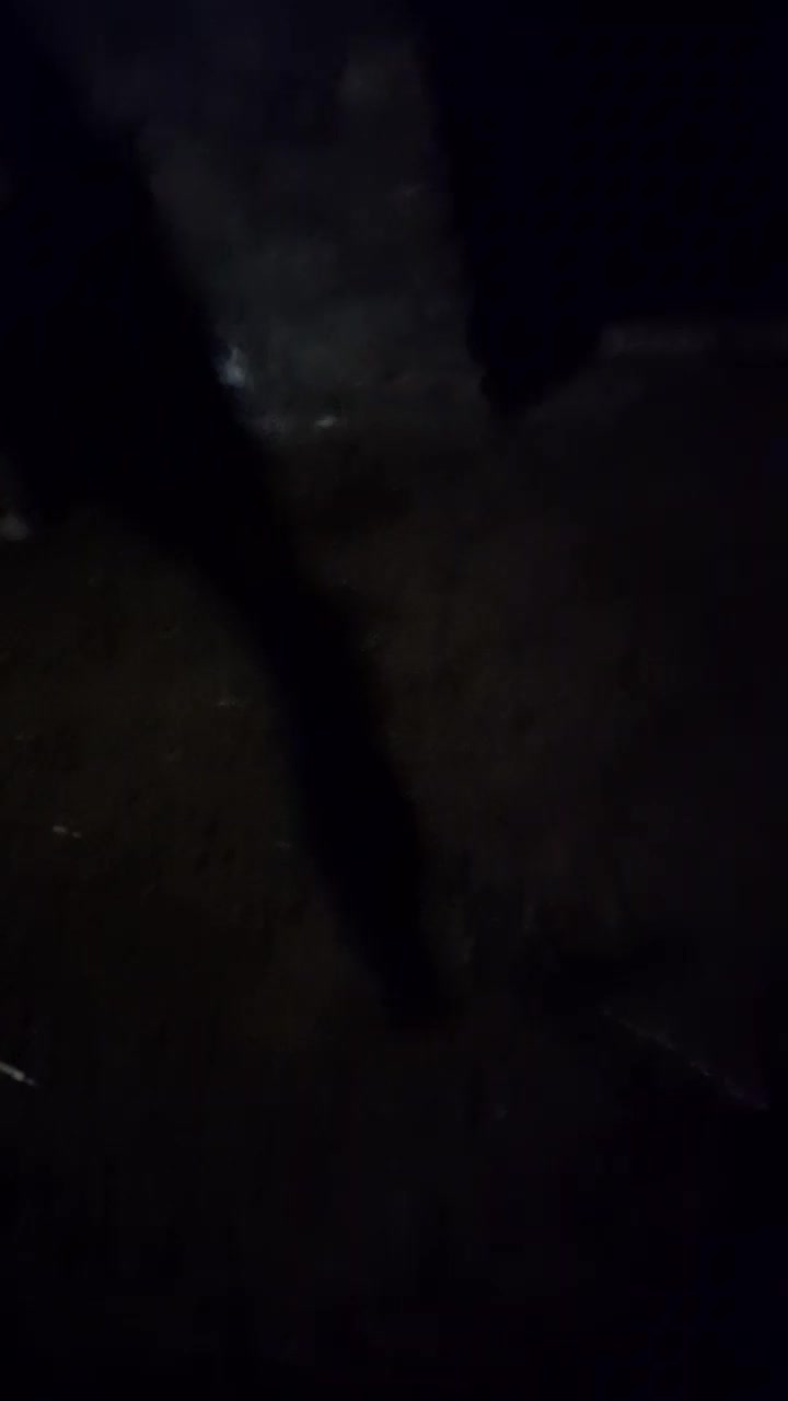 فروش|حیوانات مزرعه|صومای برادوست, |دیوار