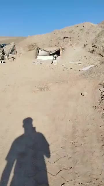 سگ نگهبان عراقی|سگ|شیراز, دروازه قران|دیوار