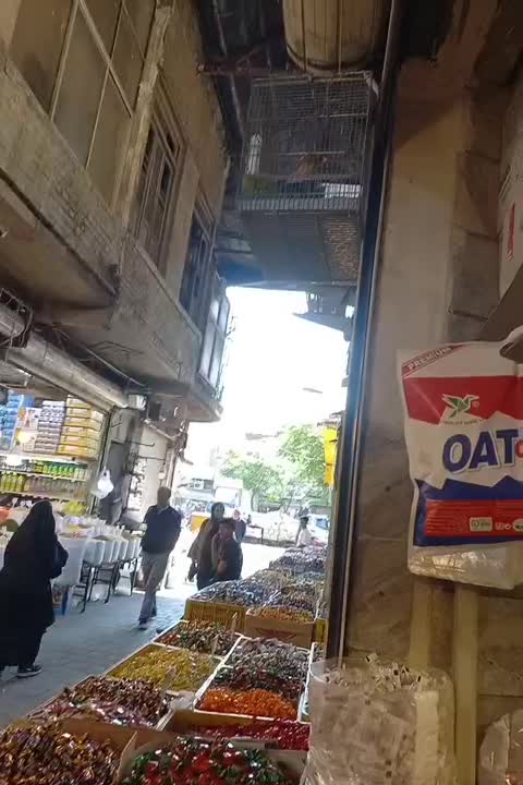 سهره نر|پرنده|تهران, مولوی|دیوار