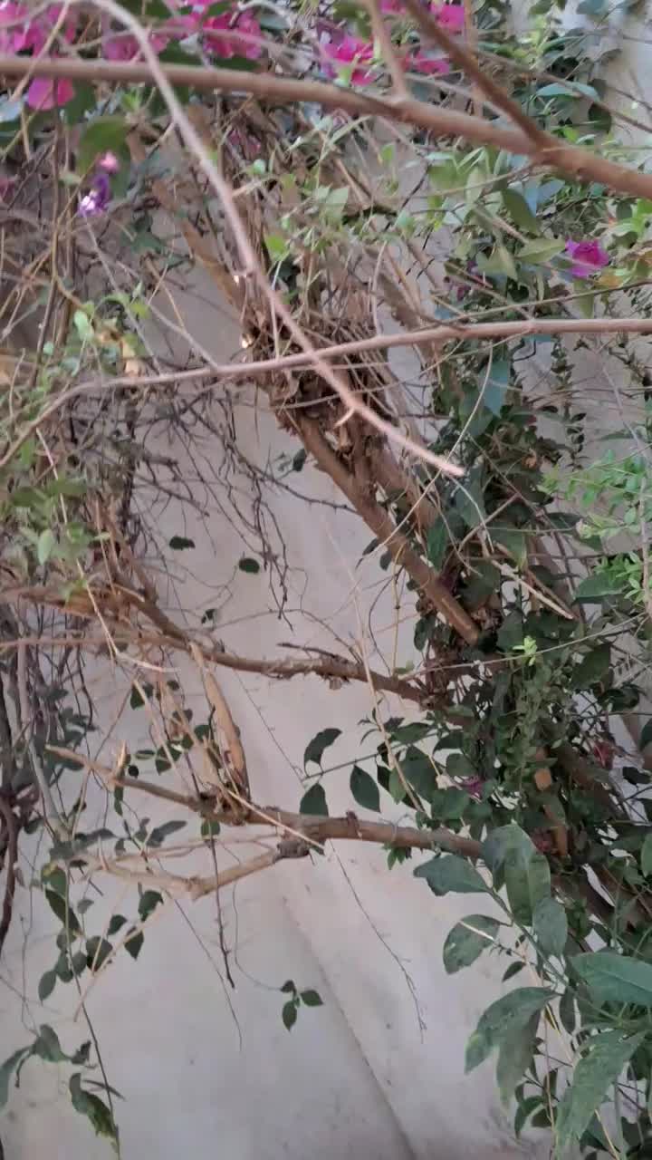 تابلو نقش برجسته گل شناور ابعاد ۱۴۰*۸۰ هنر دست|تابلو، نقاشی، عکس|اهواز, زیتون کارمندی|دیوار