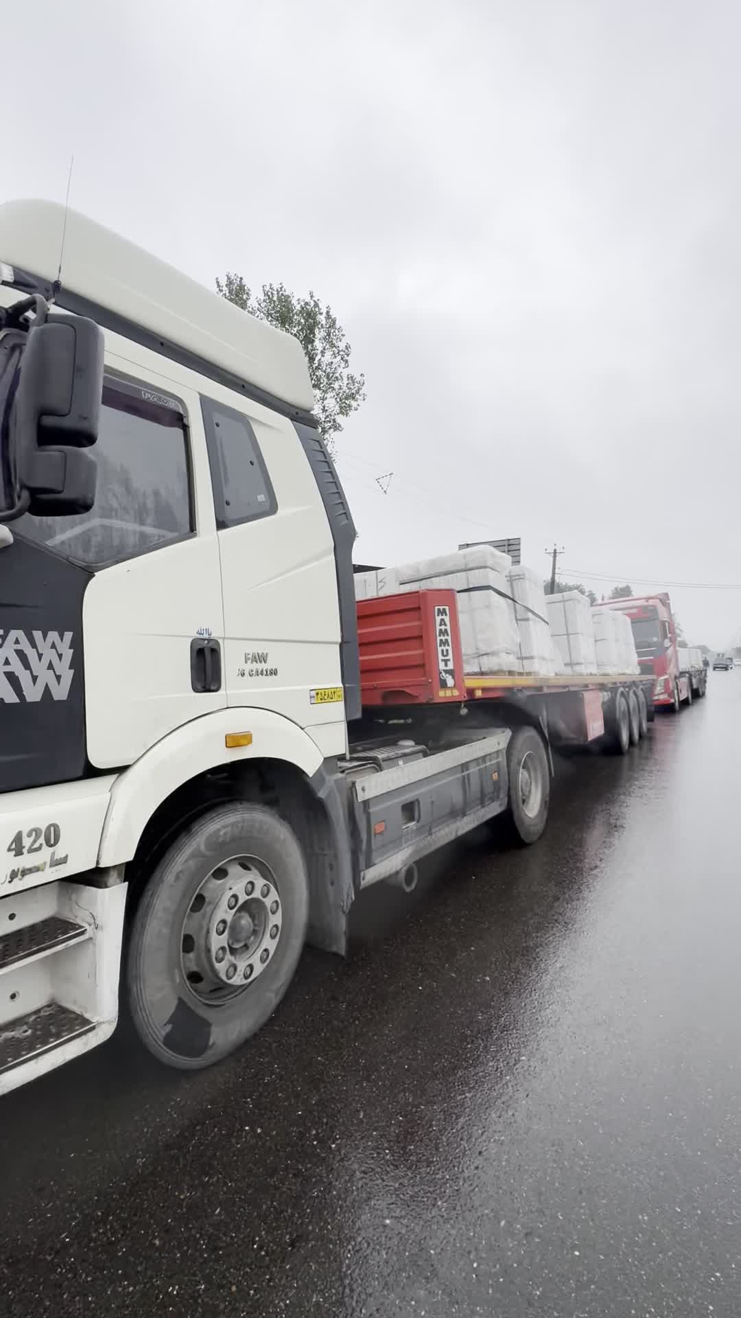 کاشی و سرامیک|مصالح و تجهیزات ساختمان|رشت, انصاری|دیوار