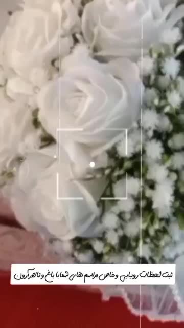 تشریفات آرون|خدمات پذیرایی، مراسم|صدرا-فارس, فاز ۱|دیوار