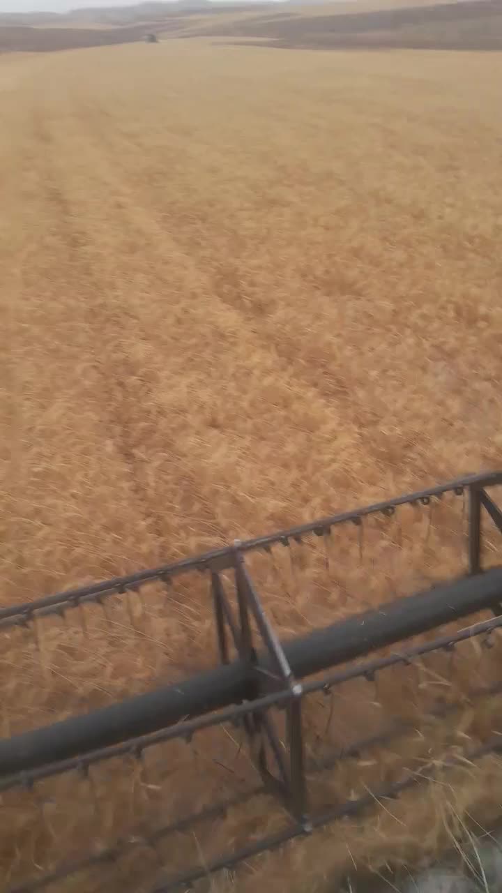 کمباین تمام چین|خودرو سنگین|دیواندره, |دیوار