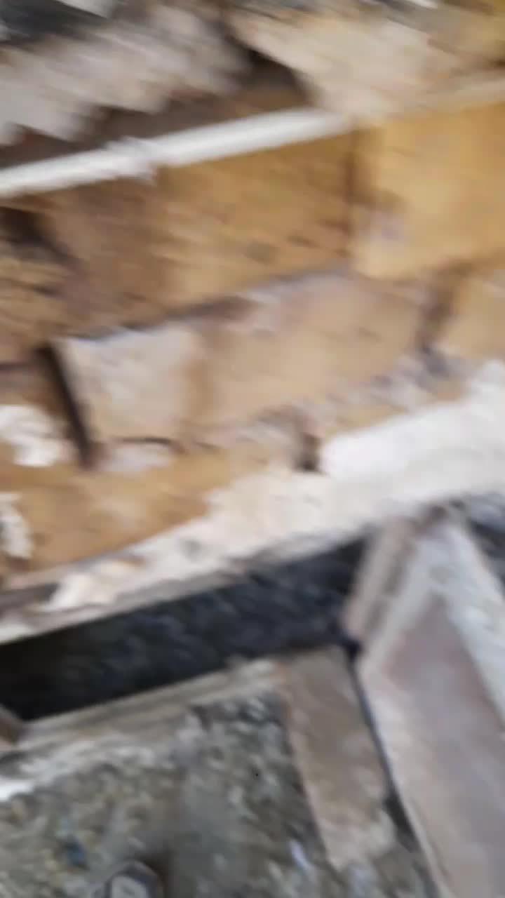 سلام کبوتر|پرنده|زاوه, |دیوار