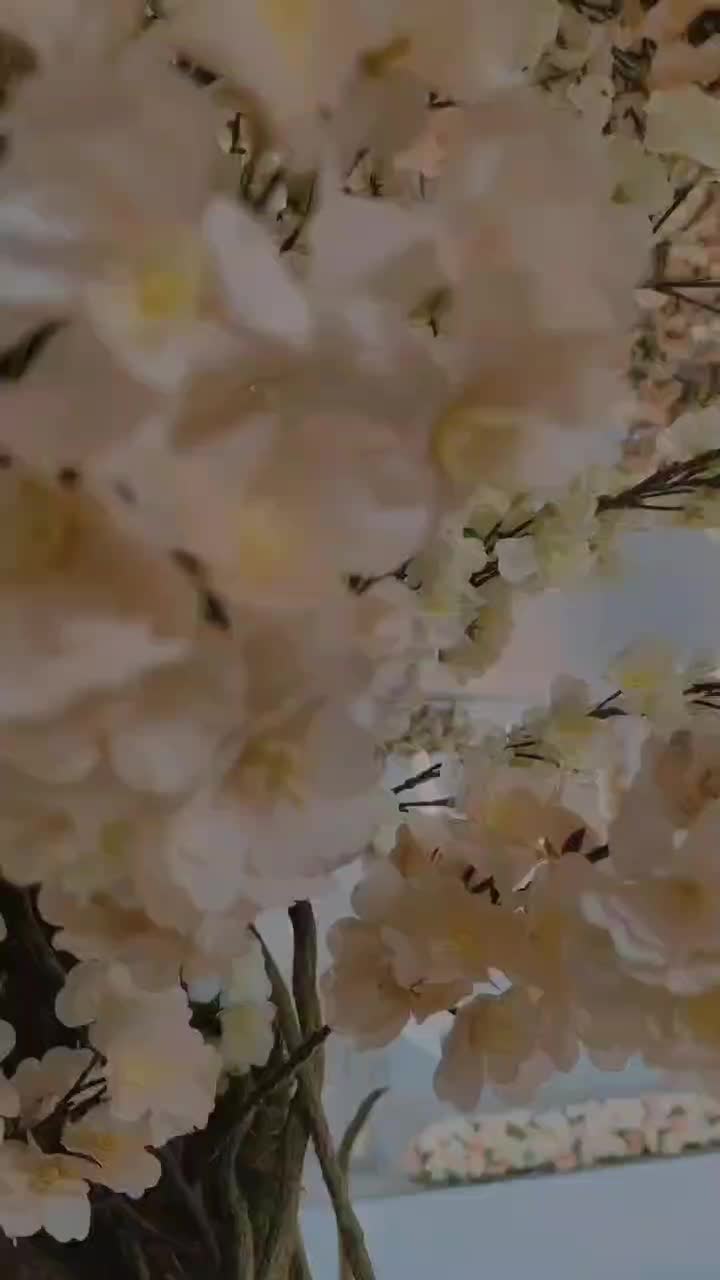 سالن عقد و جشن و مراسمات پیوند رویایی فولادشهر|خدمات پذیرایی، مراسم|فولادشهر, B4|دیوار