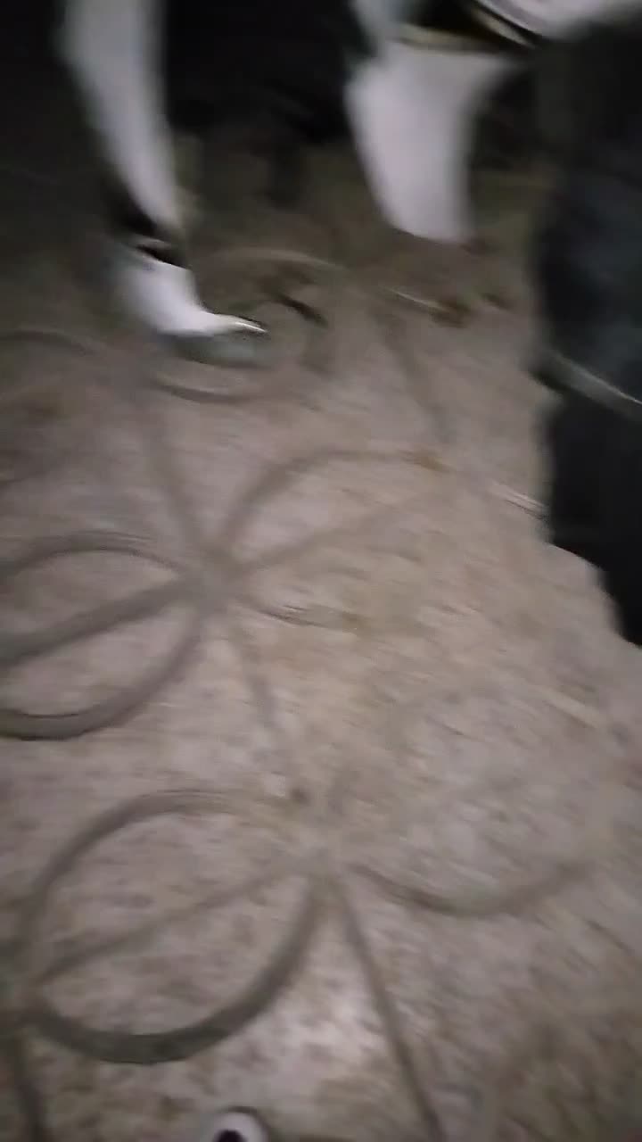 موتور لاتاری موتور روشن|موتورسیکلت|تهران, ولنجک|دیوار