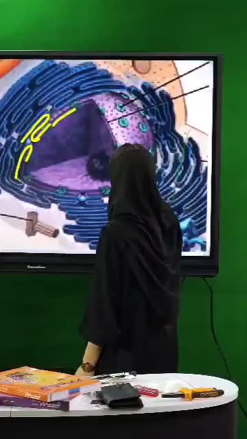 اسمارت برد، اکتیوپنل (تلویزیون لمسی) پرومتین نسل۶|تلویزیون و پروژکتور|تهران, علم و صنعت|دیوار