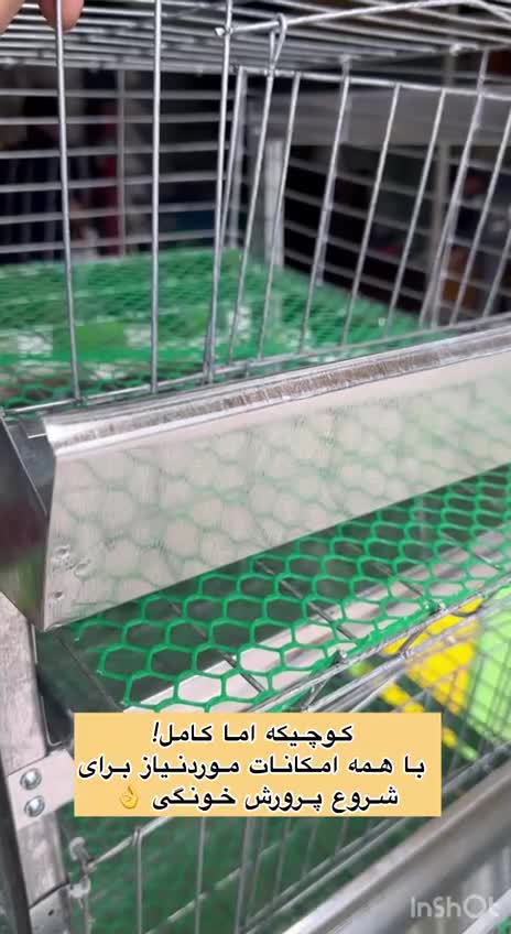 در*آپارتمان یا% بلدرچین مینی و قفس مرغ|لوازم جانبی حیوانات|تربتحیدریه, اندیشه|دیوار