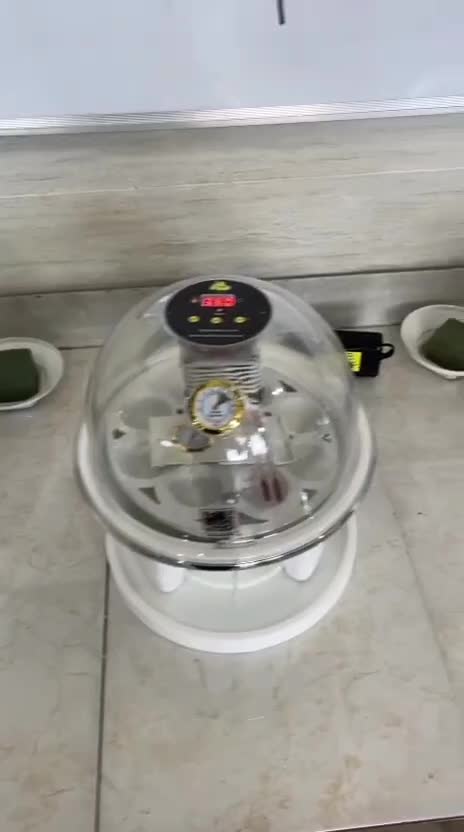 دستگاه جوجه کشی مینی کاکس ۱۰ تایی (شرکتی)|لوازم جانبی حیوانات|تهران, ایران|دیوار