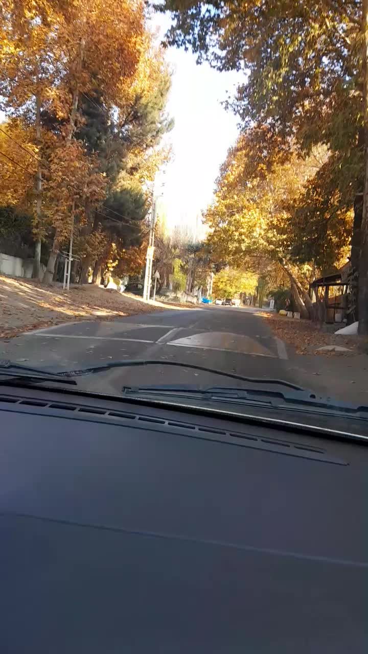 آموزش خصوصی رانندگی|خدمات آموزشی|کرج, دهقان ویلا|دیوار