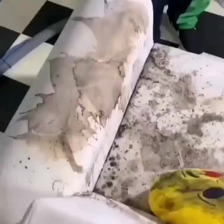 شرکت مبل شویی ( صحت ) شستشوی مبل در محل مبلشویی|خدمات نظافت|مشهد, ایثار|دیوار