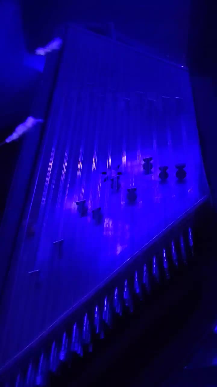 آموزش سنتور حرفه ای سبک استاد توکل|خدمات آموزشی|کرمانشاه, |دیوار