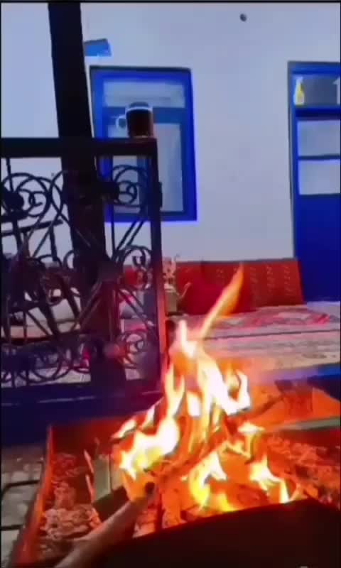 اجاره ویلا سوئیت جنگلی لاهیجان|اجارهٔ کوتاهمدت آپارتمان و سوئیت|لاهیجان, لفمجان|دیوار