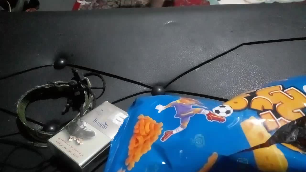 ۲عدد مولد شیتزو|سگ|دماوند, دماوند|دیوار