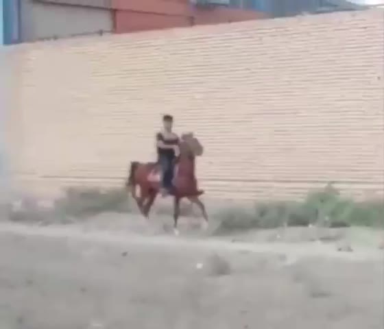 اسب اصیل دره شور|اسب و تجهیزات اسبسواری|اصفهان, شهرک صنعتی جی|دیوار