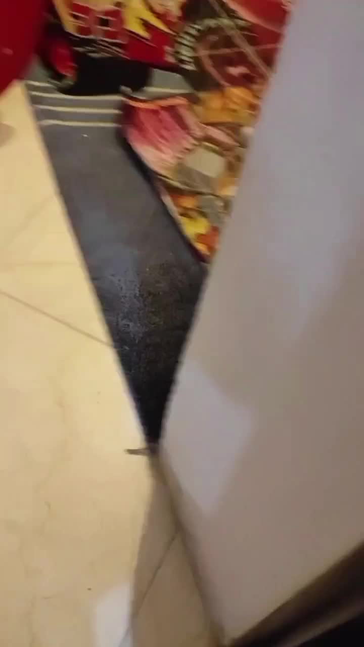 سگ بسیار باهوش و آروم بفروش میرسد فوری فوری|سگ|کرمان, |دیوار