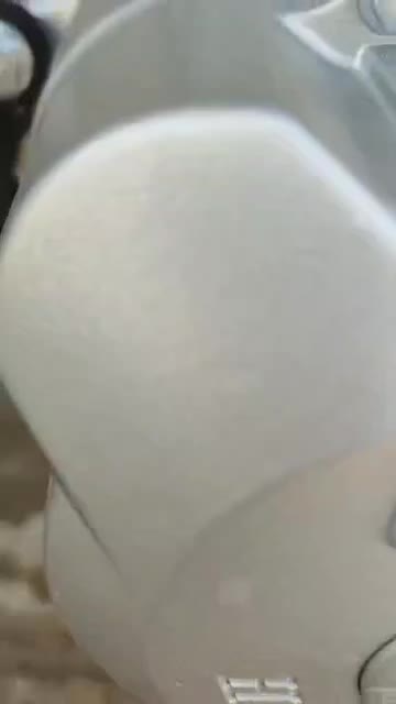 فروش موتور تکتاز|موتورسیکلت|برازجان, |دیوار