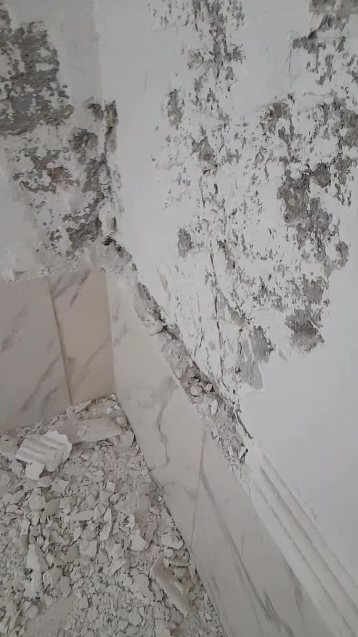 سمپاشی وریشه کنی دائمی وعمری موریانه.ساس وغیره|خدمات نظافت|خرمشهر, |دیوار