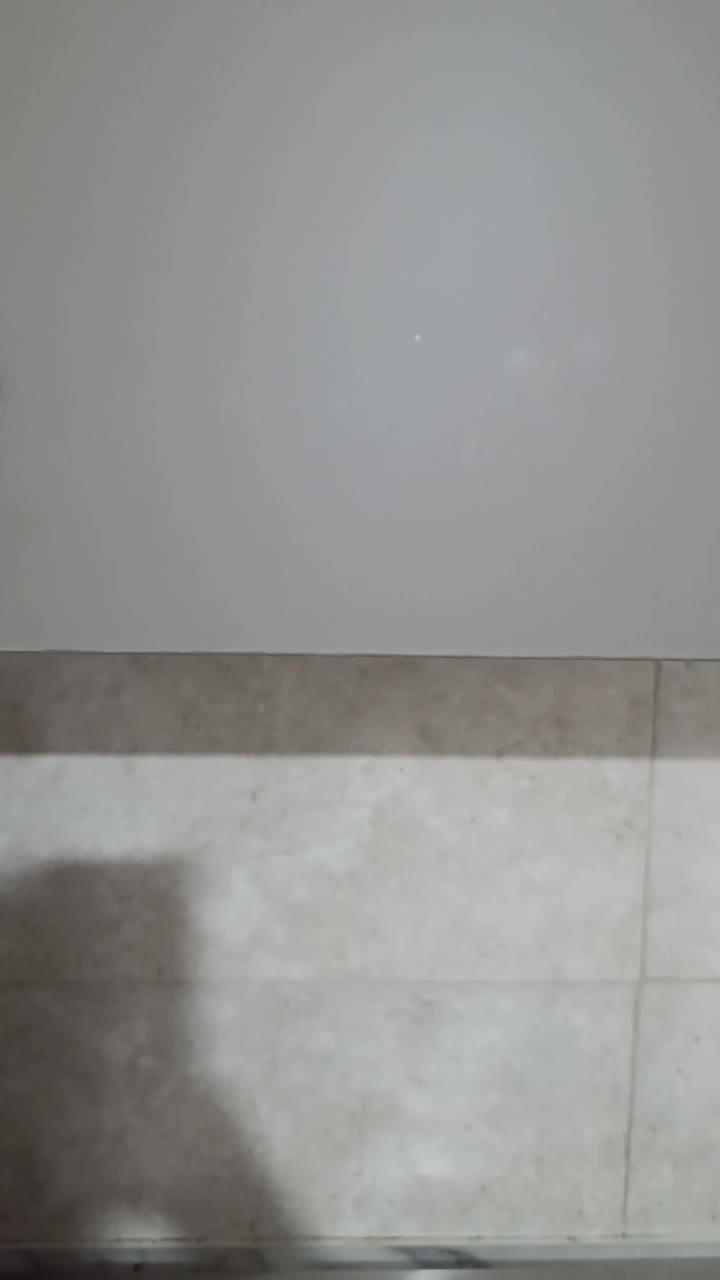 هود|هود|طاهرگوراب, |دیوار