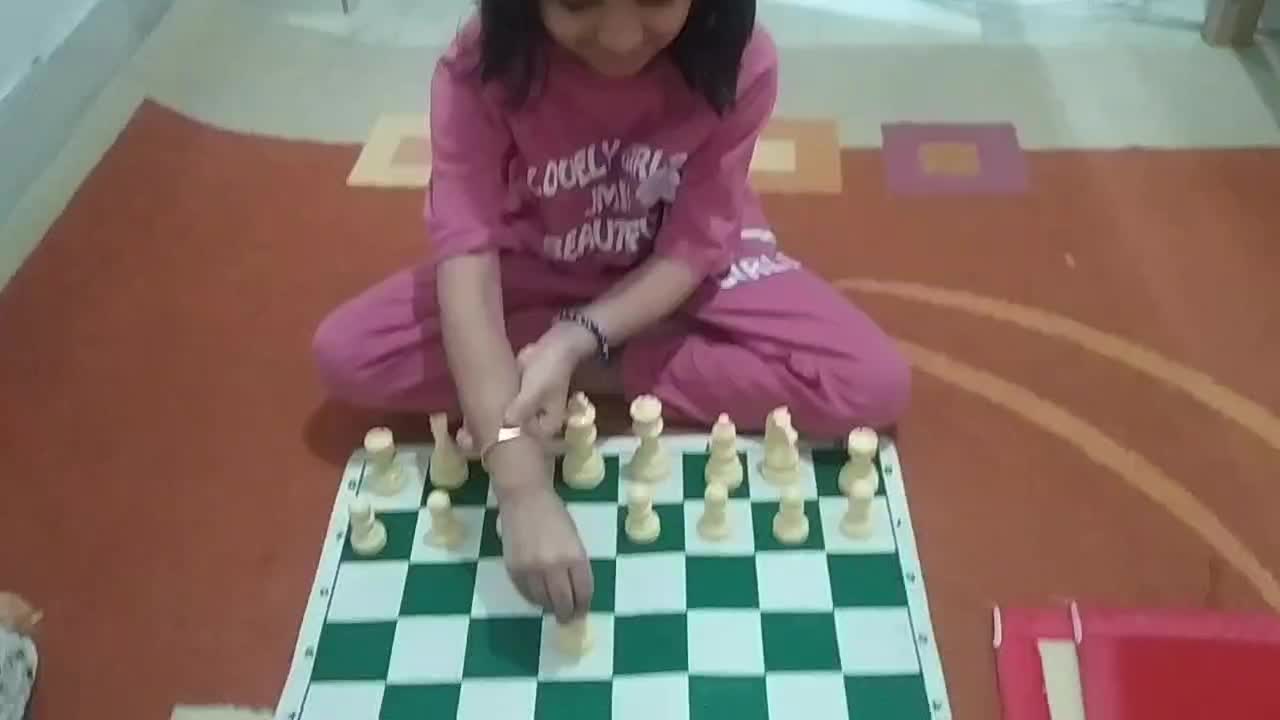 آموزش شطرنج در یک جلسه یا ۸ جلسه اختیار با شما|خدمات آموزشی|میناب, |دیوار