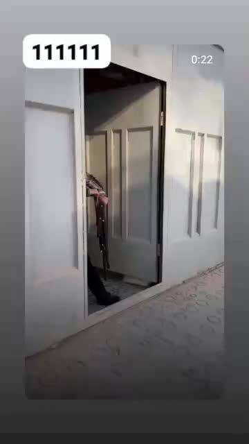 صندلی|صندلی و نیمکت|تهران, گیشا|دیوار