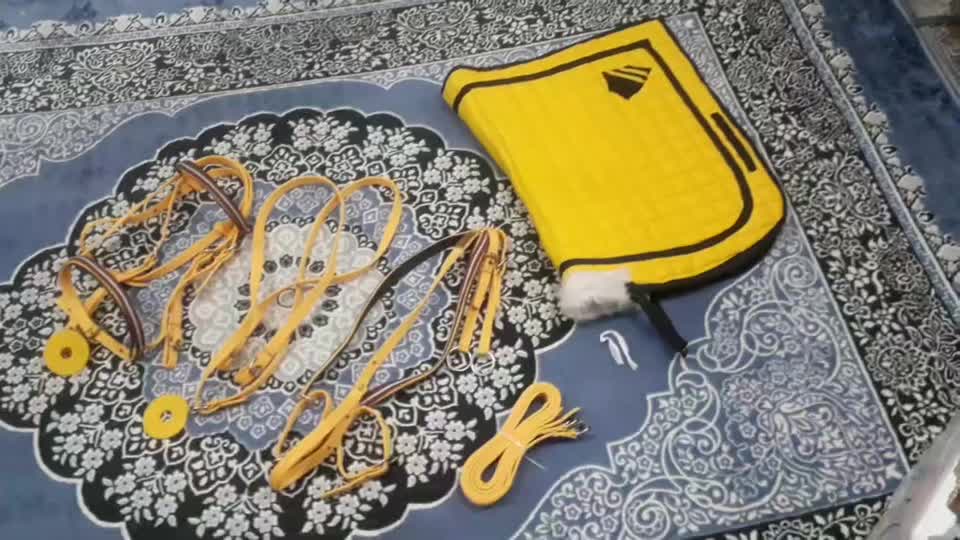 ست کامل زیبا برای خوش صلیقه ها|اسب و تجهیزات اسب‌سواری|مسجد سلیمان, |دیوار