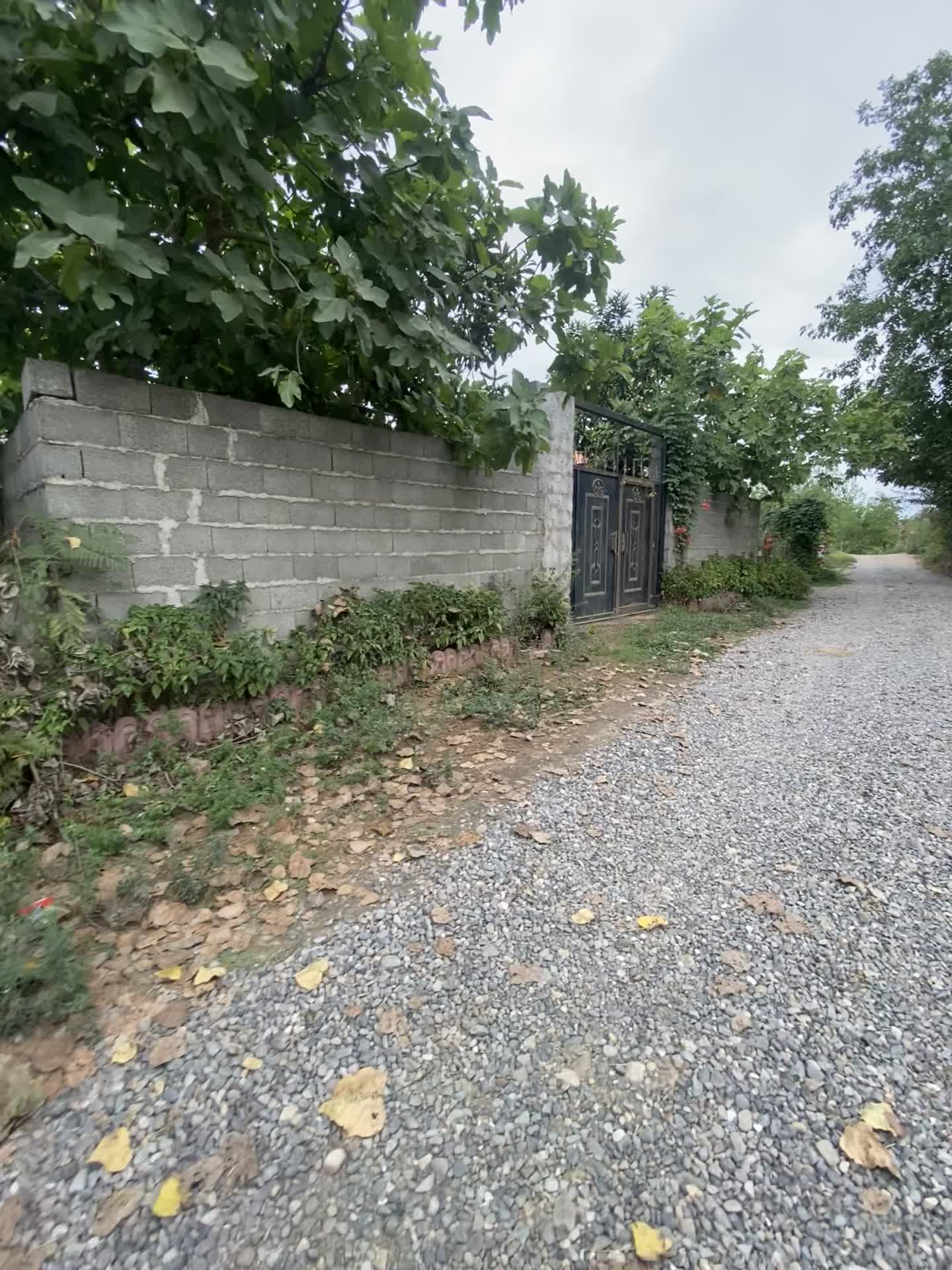 فروش زمین ۲۸۷ نوخاله|فروش زمین و ملک کلنگی|رشت, حومه رشت|دیوار