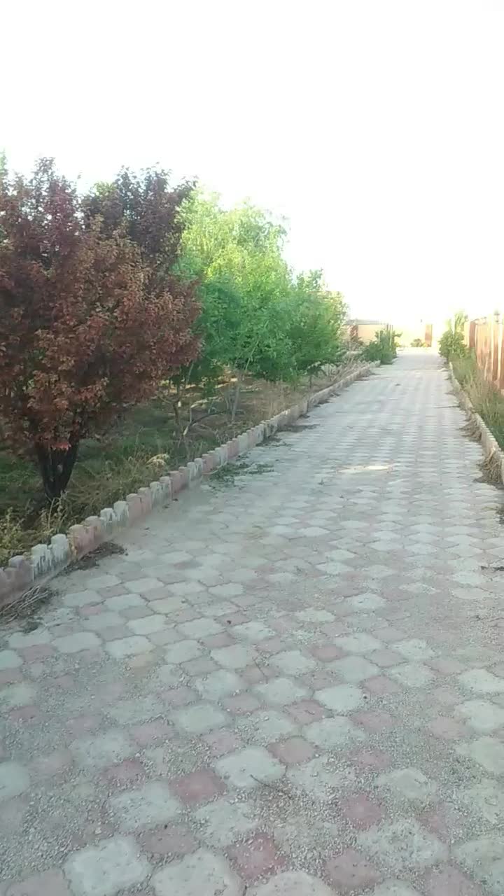 باغ باتمام امتیازات وسندملکی آرامگاه فردوسی زاک|فروش خانه و ویلا|مشهد, درزآب|دیوار